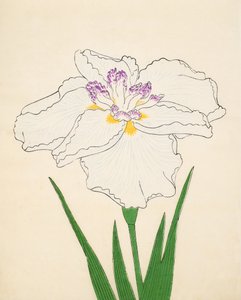 Cho-Hiyen, nr 91, 1890 (kolorowa odbitka drzeworytnicza) autorstwa Japanese School