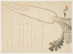 Rzodkiew Daikon, styczeń 1864 (kolorowy drzeworyt) autorstwa Japanese School