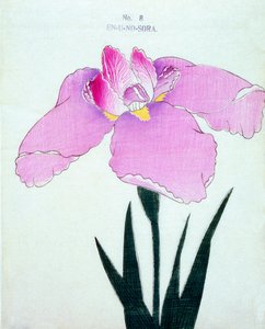 Enuno. -Sora, z. 8, 1898 r