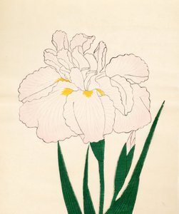 En-Yo-No-Ten, nr 73, 1890 (drzeworyt kolorowy) autorstwa Japanese School