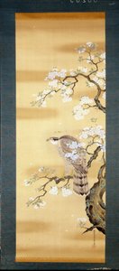 Sokół na gałęzi japońskiej wiśni rozkwitł. Malarstwo na jedwabiu z XVIII wieku z Japonii. Genua. Muzeum Chiossone. autorstwa Japanese School