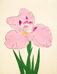 Triumfalny, z. 90, 1890 autorstwa Japanese School