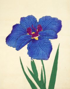 To czyrak. -Mój, z. 9, 1898 autorstwa Japanese School