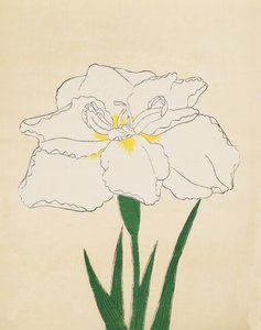 Haku-O-Den, nr 40, 1890 (kolorowy drzeworyt) autorstwa Japanese School