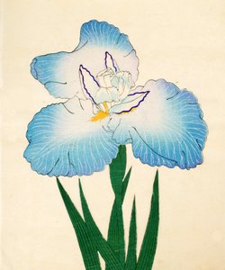 Irojiman, nr 80, 1890 (kolorowa odbitka drzeworytnicza) autorstwa Japanese School