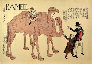 Kameel, wyd. 1821 (kolorowy drzeworyt) autorstwa Japanese School