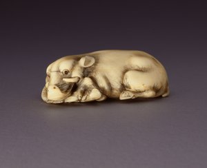 Netsuke przedstawiający leżącego dzika, ok. 1930 r. 1750-80 (róg narwahla) (patrz też 210190) autorstwa Japanese School