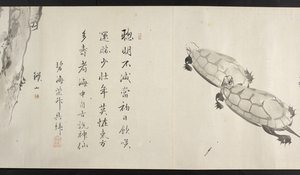 Lub. 14872, f.36, Dwa żółwie, z Yoshida Seisai (zwój) autorstwa Japanese School