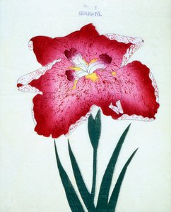 Z Senjo. 5, 1898 r