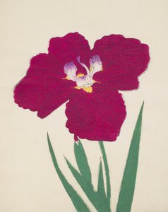 Tai-Hei-Raku, nr 18, 1890 (kolorowa odbitka drzeworytnicza) autorstwa Japanese School