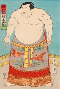 Tesmo W Rester Asashio Taro autorstwa Japanese School