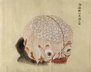 Anatomia mózgu z sekcji ofiary tortur z 1796 r., z makimono lekarza z Midori, 1842 r. (pióro i atrament i toaleta na papierze) autorstwa Japanese School