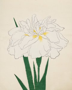 Ujaku-No Nagisa. 61, 1890 r autorstwa Japanese School