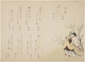Kobieta w chińskim stroju dworskim, ok. 1830-44 (kolorowy drzeworyt, karazuri na futrze) autorstwa Japanese School