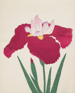 Yamamatayama, nr 83, 1890 (kolorowa odbitka drzeworytnicza) autorstwa Japanese School