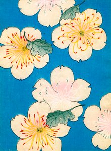 kolorowy drzeworyt z nadrukiem Dogwood Blossoms autorstwa Japanese School