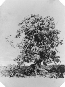 Pejzaż z drzewem i wsią w oddali (z albumu Cropseya) autorstwa Jasper Francis Cropsey