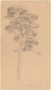 Sosna autorstwa Jasper Francis Cropsey