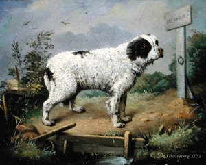 Nowofundland na nasypie autorstwa Jean Baptiste Desgrange