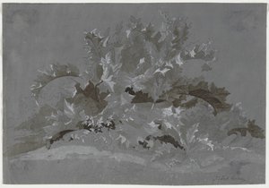 Badanie chwastów autorstwa Jean Antoine Linck