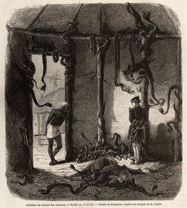 Wewnątrz świątyni węży fetiches, w Wydah, w Dahomeju (dzisiejszy Benin), rysunek Jean Antoine Foulquier (1822-1896), ilustrujący podróż doktora Repina do Dahomeju w 1860 roku. Grawer w „”Le tour du monde” ”, pod redakcją Edouarda Chartona