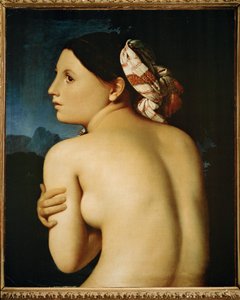 Akt kobiecy, widok z tyłu (obraz na płótnie) autorstwa Jean Auguste Dominique Ingres