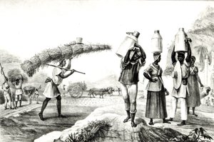 Sprzedawcy mleka i capim, z „Malownicza i historyczna podróż do Brazylii”