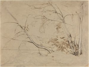 Kępka drzew w Civita Castellana autorstwa Jean Baptiste Camille Corot