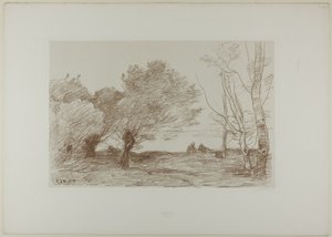 Wierzby i topole białe autorstwa Jean Baptiste Camille Corot