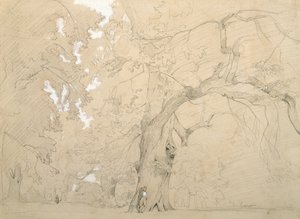 Młody człowiek przed wielkim dębem, ok. 1840 (ołówek i gwasz na papierze) autorstwa Jean Baptiste Camille Corot