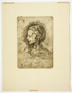 Głowa kobiety autorstwa Jean Baptiste Carpeaux