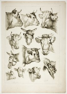 Tablica 35 z 38 z Oeuvres de J. B. Huet autorstwa Jean Baptiste Huet