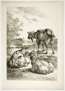 Płyta osiemnasta z 38 z Oeuvres de J. B. Huet autorstwa Jean Baptiste Huet