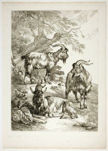 Tablica siedemnasta z 38 z Oeuvres de J. B. Huet autorstwa Jean Baptiste Huet