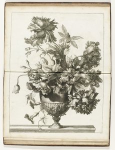 Bloemenvaas Księgi kilku Vazes of Flowers wykonane po Natural (tytuł serii) autorstwa Jean Baptiste Monnoyer