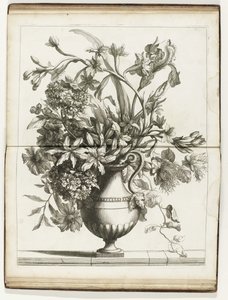 Bloemenvaas Księgi kilku Vazes of Flowers wykonane po Natural (tytuł serii) autorstwa Jean Baptiste Monnoyer