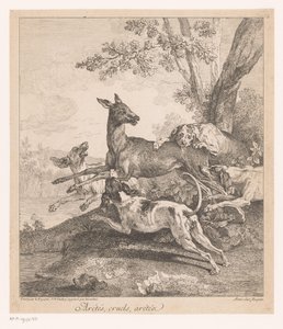 Jeleń zaatakowany przez psy myśliwskie Arrêtés, cruels, arrêtez (...) (tytuł na przedmiocie) Sceny polowań (tytuł serii) autorstwa Jean Baptiste Oudry