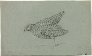 Kuropatwa autorstwa Jean Baptiste Oudry