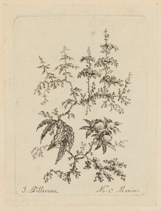 Fantastyczny kwiat autorstwa Jean Baptiste Pillement