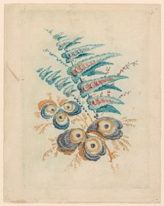 Fantastyczny motyw kwiatowy z Nouvelle Suitete de Cahiers de Fleurs Idéales autorstwa Jean Baptiste Pillement