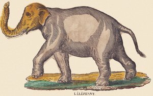 Der Elefant, ca. 1840-1852