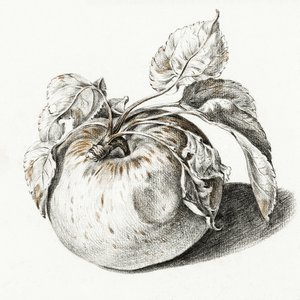 Apple autorstwa Jean Bernard