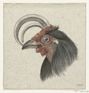 Głowa koguta autorstwa Jean Bernard