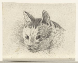 Głowa kota autorstwa Jean Bernard