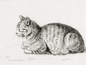 Leżący kot (1811) autorstwa Jean Bernard