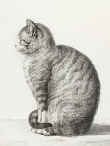 Siedzący kot (1815)