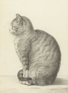 Siedzący kot po lewej stronie. 1815