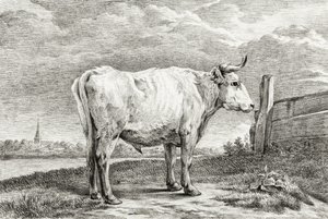 Standing Bull (1817) autorstwa Jean Bernard