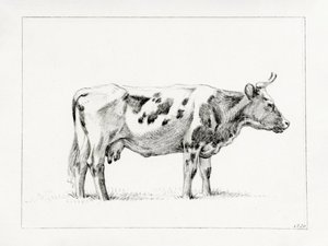 Stojąca krowa (1820)