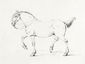 Stepping Horse (1775–1833) autorstwa Jean Bernard